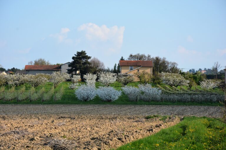 marcilly d'azergues