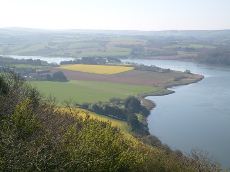 rosnoen